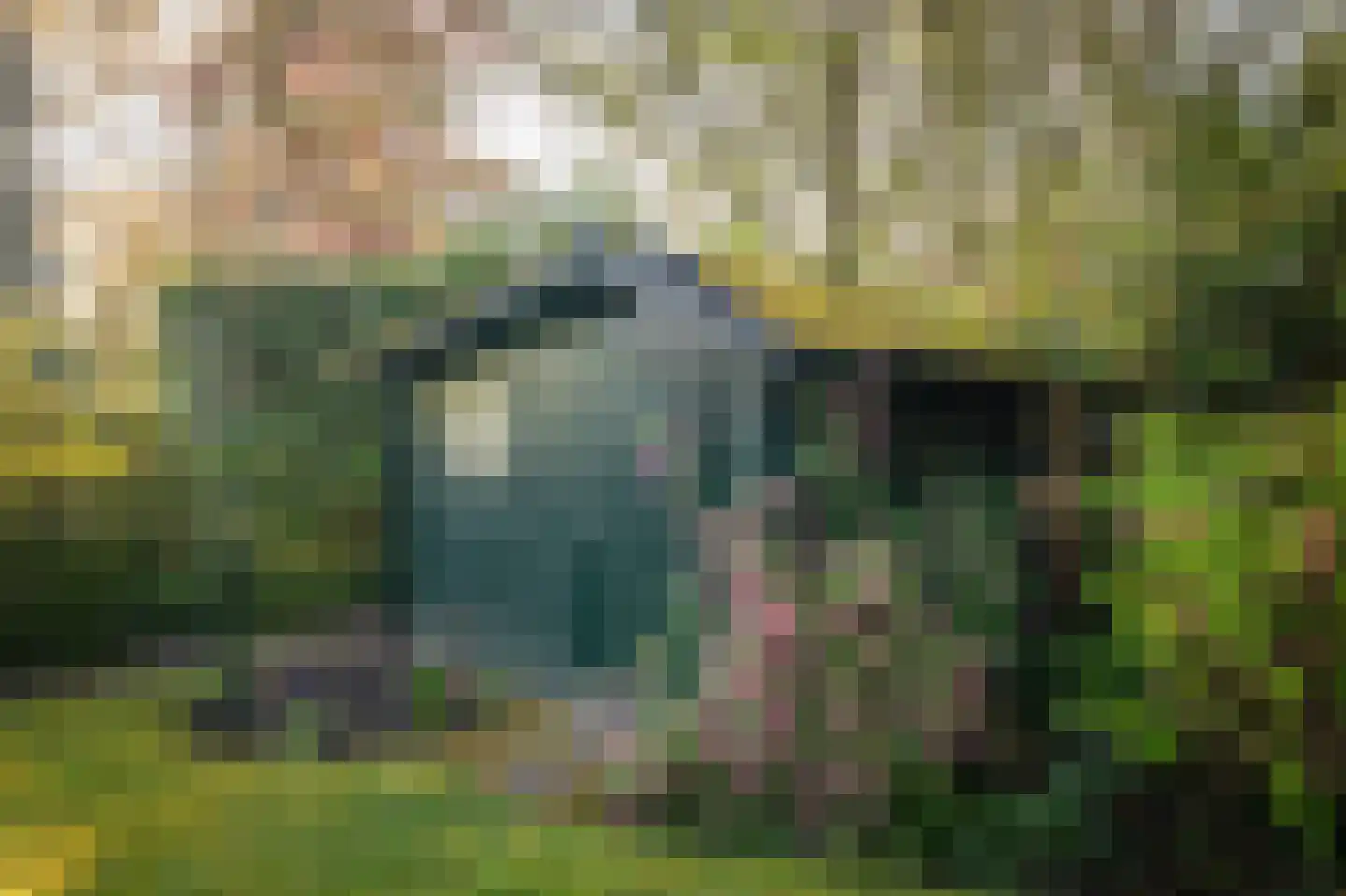 Burgemeester van der Feltzweg 14 Twello thumbnail 45