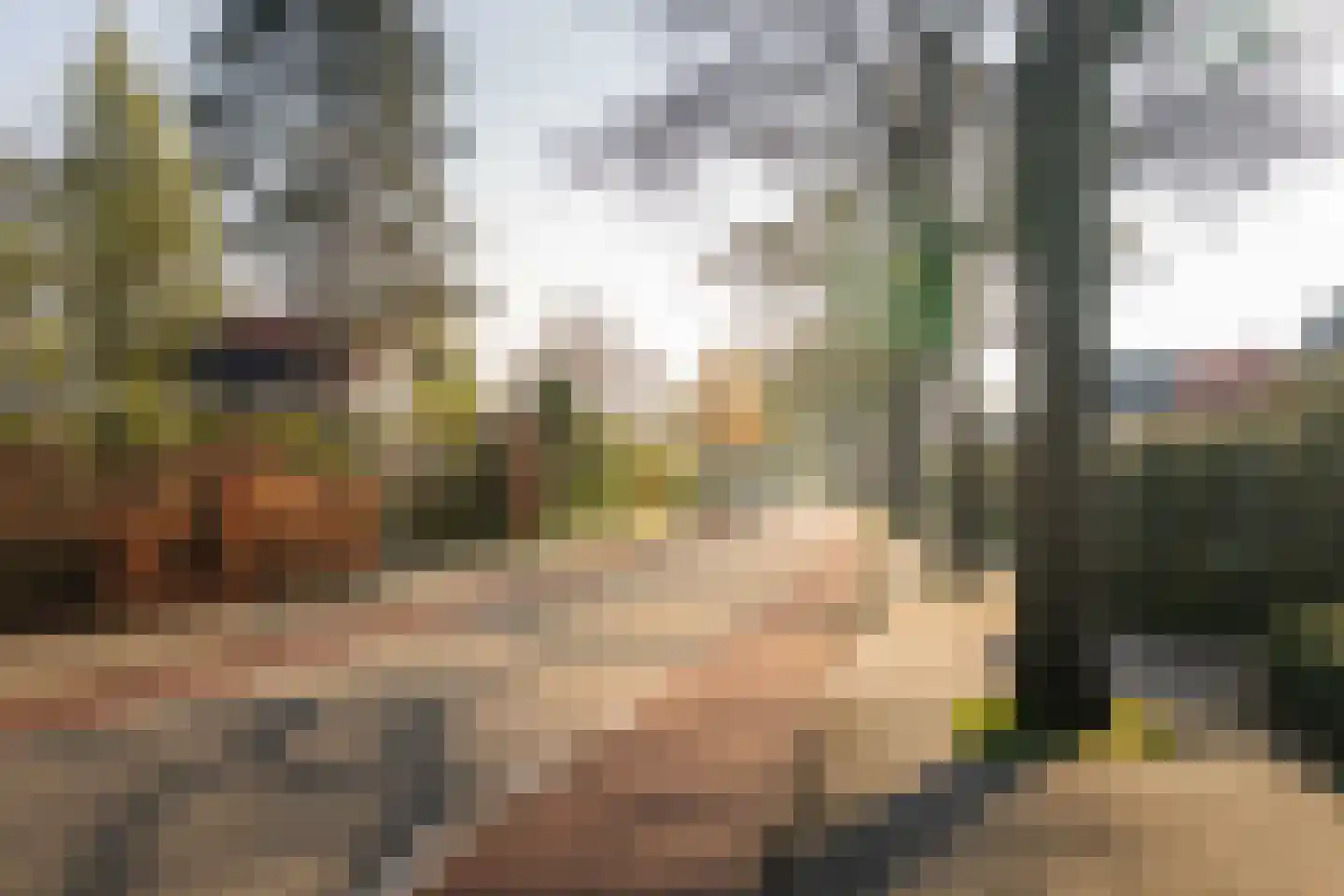 Burgemeester van der Feltzweg 14 Twello thumbnail 47