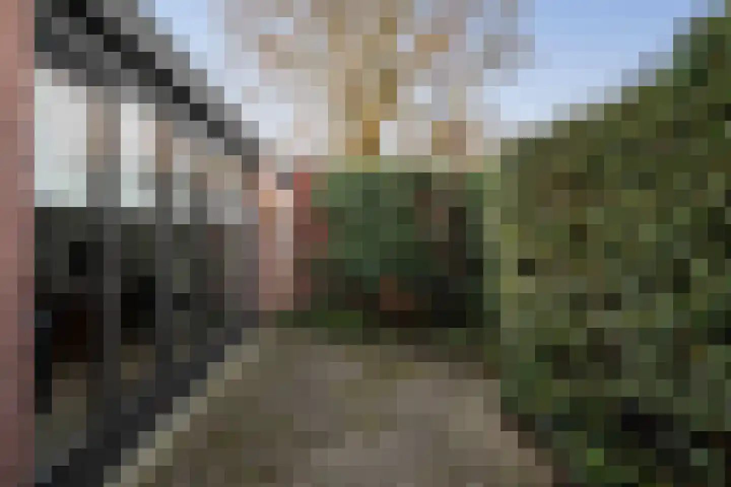 Burgemeester van der Feltzweg 17 B Twello thumbnail 14
