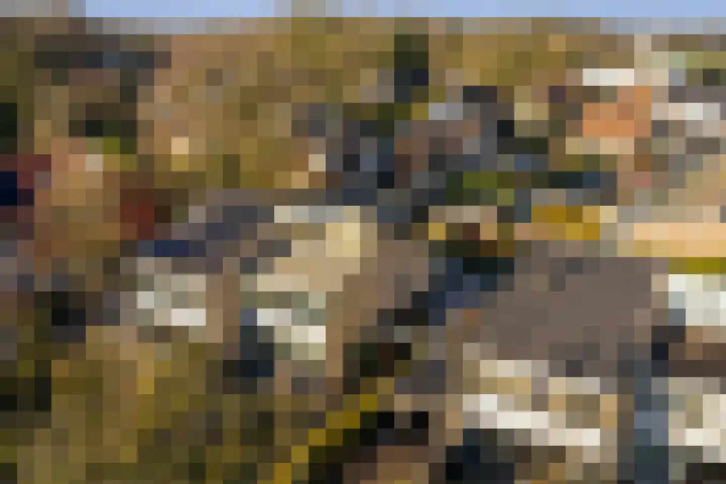 Burgemeester van der Feltzweg 17 B Twello thumbnail 26