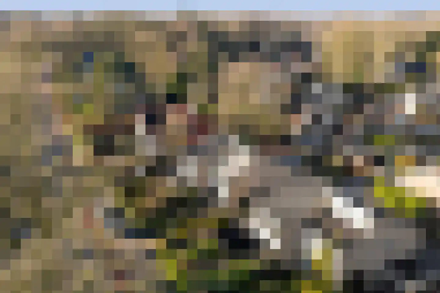 Burgemeester van der Feltzweg 17 B Twello thumbnail 31