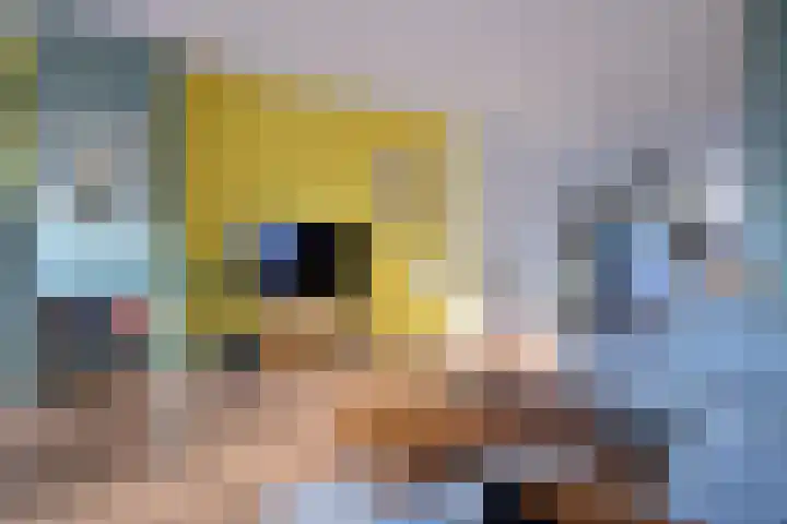 Burgemeester van der Feltzweg 65 Twello thumbnail 4