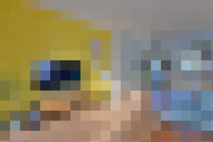 Burgemeester van der Feltzweg 65 Twello thumbnail 5