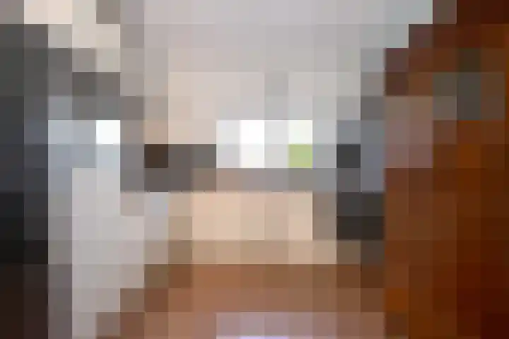Burgemeester van der Feltzweg 65 Twello thumbnail 6