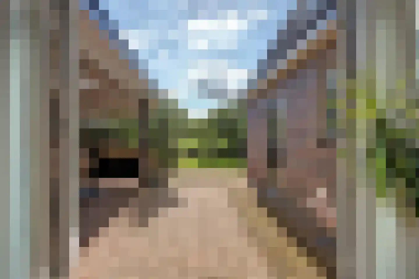 Burgemeester van der Feltzweg 72 Twello thumbnail 20