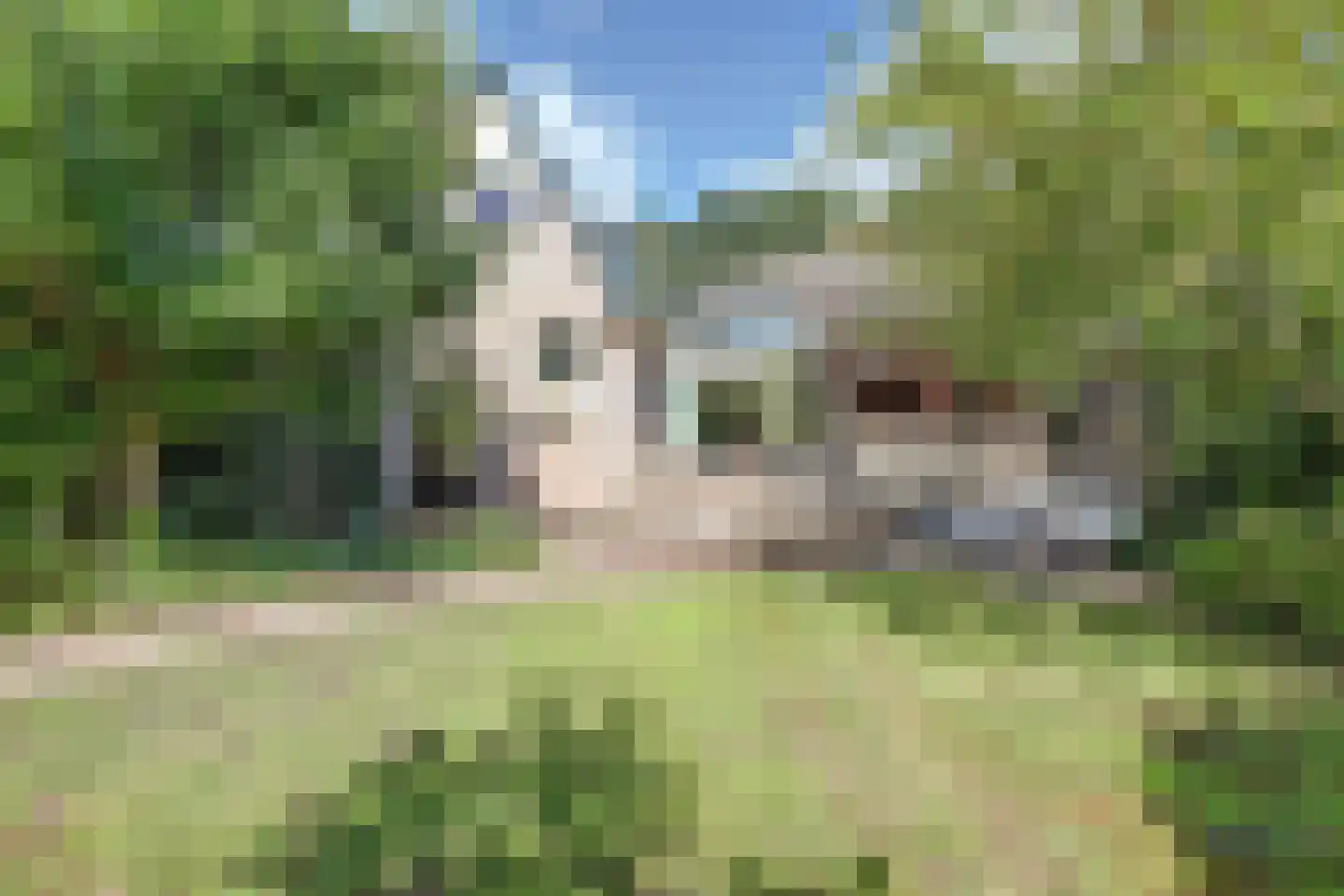 Burgemeester van der Feltzweg 72 Twello thumbnail 45