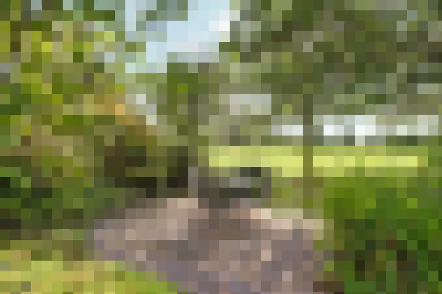 Burgemeester van der Feltzweg 72 Twello thumbnail 51