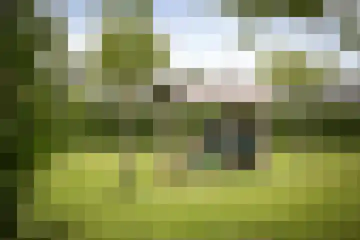 Burgemeester van der Feltzweg 98 Twello thumbnail 64
