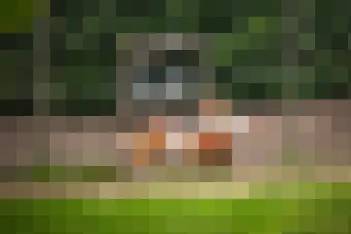 Burgemeester van der Feltzweg 98 Twello thumbnail 68