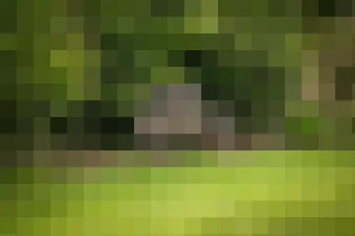 Burgemeester van der Feltzweg 98 Twello thumbnail 69
