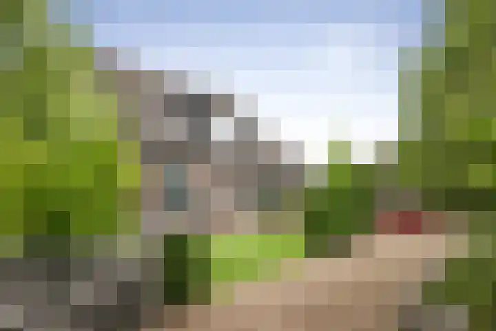 Burgemeester van der Feltzweg 98 Twello thumbnail 78