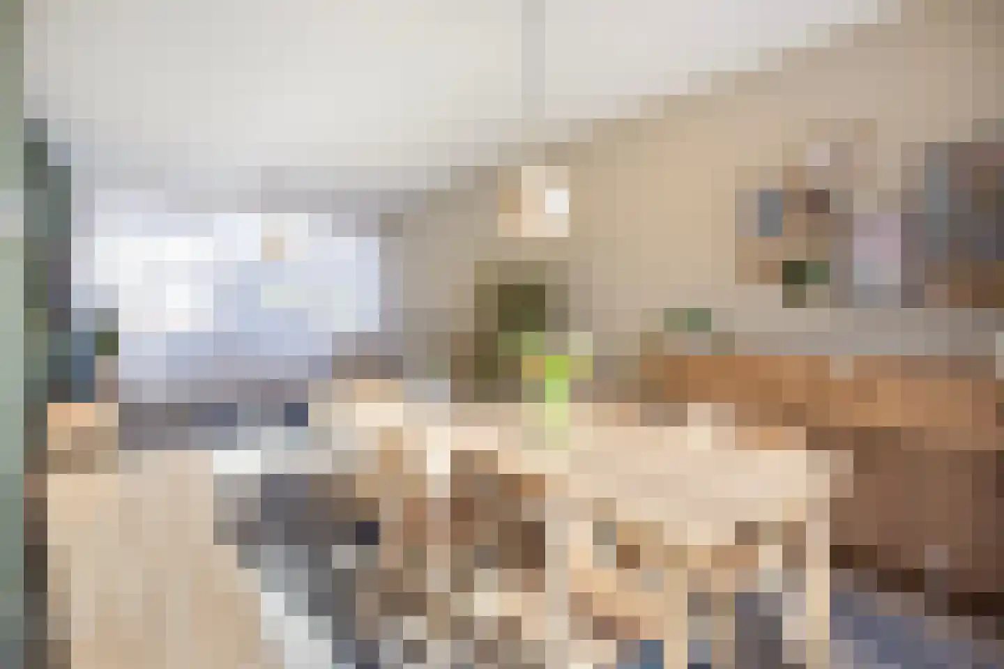 Burgemeester Van der Heidelaan 32 Vleuten thumbnail 4