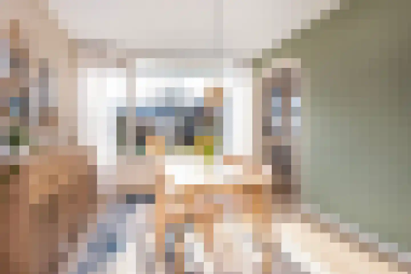 Burgemeester Van der Heidelaan 32 Vleuten thumbnail 9