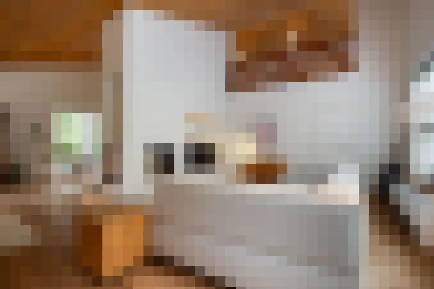 Burgemeester van der Heijdenlaan 11 Kaatsheuvel thumbnail 11