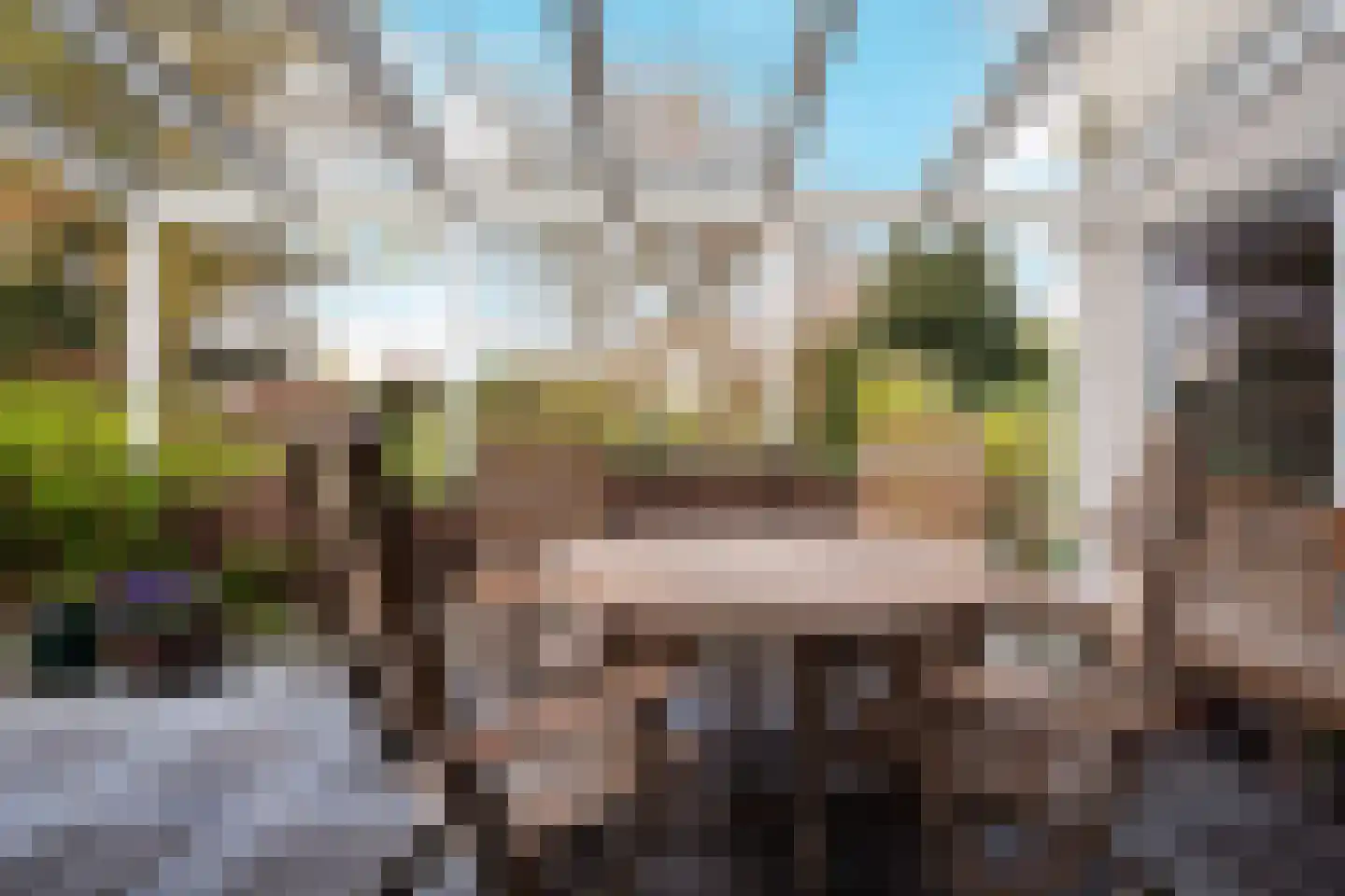 Burgemeester van der Heijdenlaan 21 Kaatsheuvel thumbnail 20