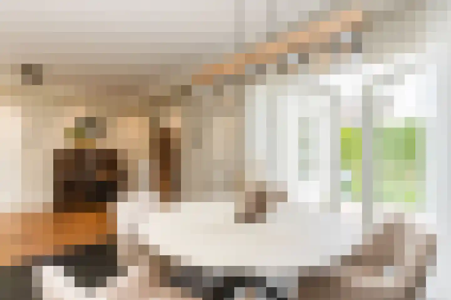 Burgemeester van der Heijdenlaan 22 Kaatsheuvel thumbnail 19
