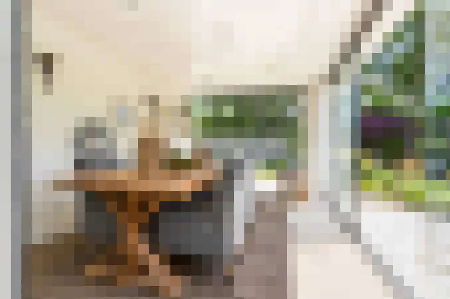 Burgemeester van der Heijdenlaan 22 Kaatsheuvel thumbnail 20