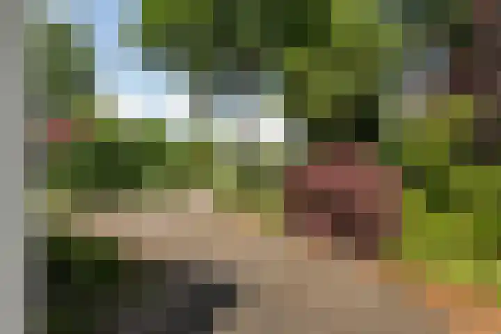 Burgemeester van der Heijdenlaan 36 Kaatsheuvel thumbnail 38