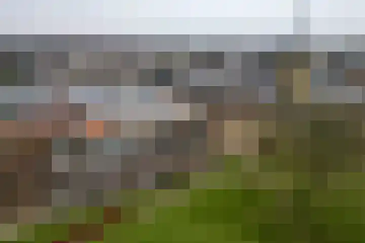 Burgemeester van der Jagtkade 16 Hellevoetsluis thumbnail 46