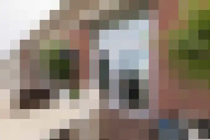 Burgemeester van der Jagtkade 27 Hellevoetsluis thumbnail 53