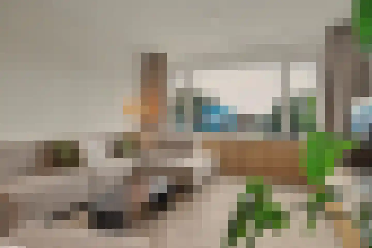 Burgemeester van der Klokkenlaan 85 Waalwijk thumbnail 7