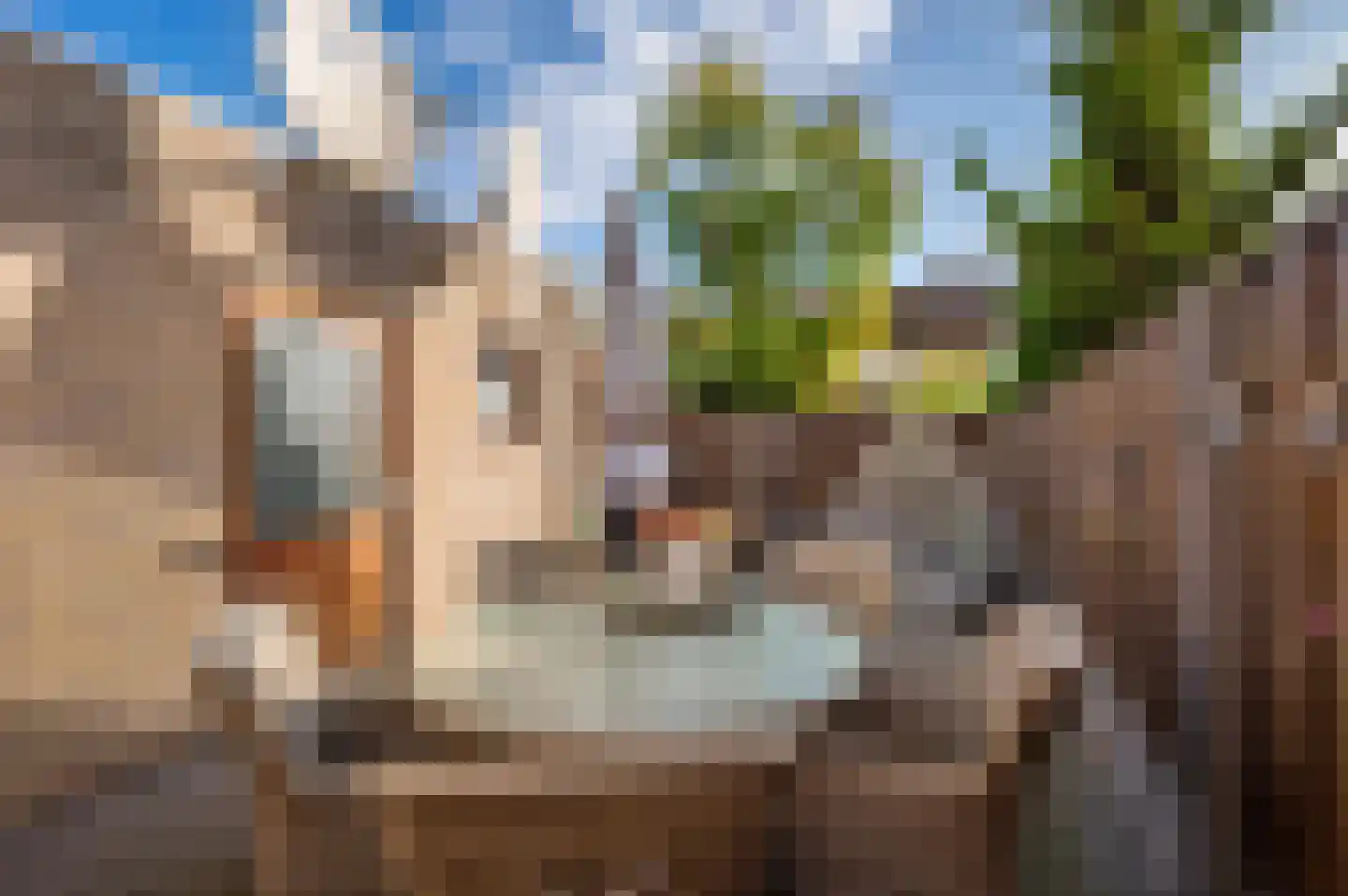 Burgemeester van der Knaapstraat 14 Venlo thumbnail 24