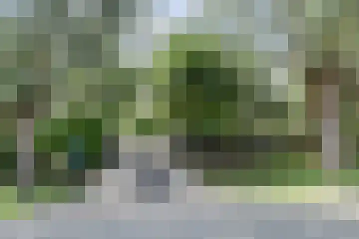 Burgemeester van der Lelystraat 103 Woudrichem thumbnail 6