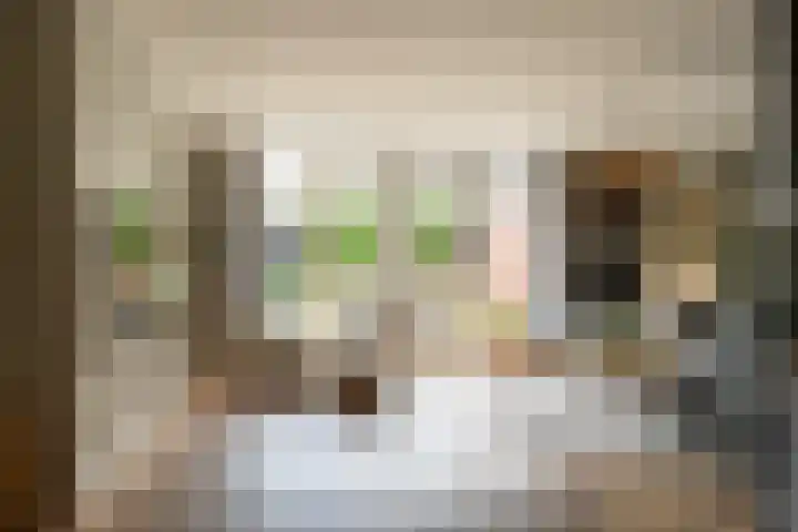 Burgemeester van der Lelystraat 3 a Woudrichem thumbnail 16