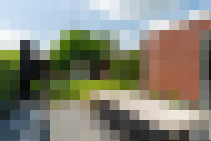 Burgemeester van der Lelystraat 3 a Woudrichem thumbnail 39