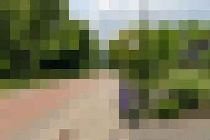 Burgemeester van der Lelystraat 3 a Woudrichem thumbnail 5