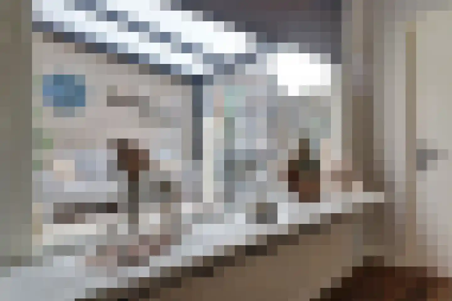 Burgemeester van der Lelystraat 54 Woudrichem thumbnail 27
