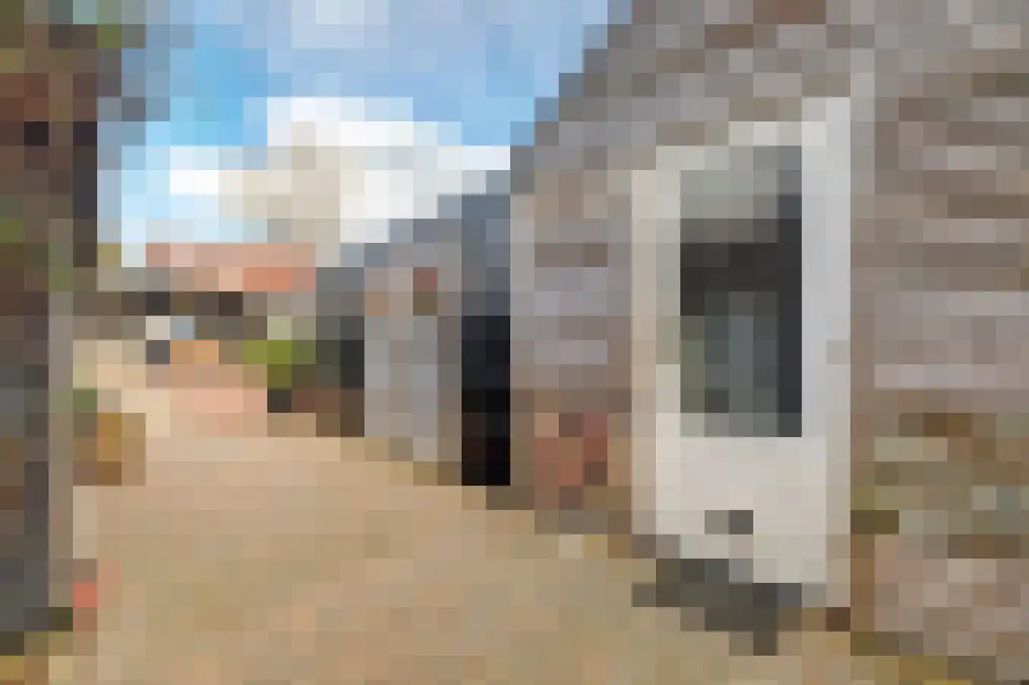 Burgemeester van der Lelystraat 54 Woudrichem thumbnail 49