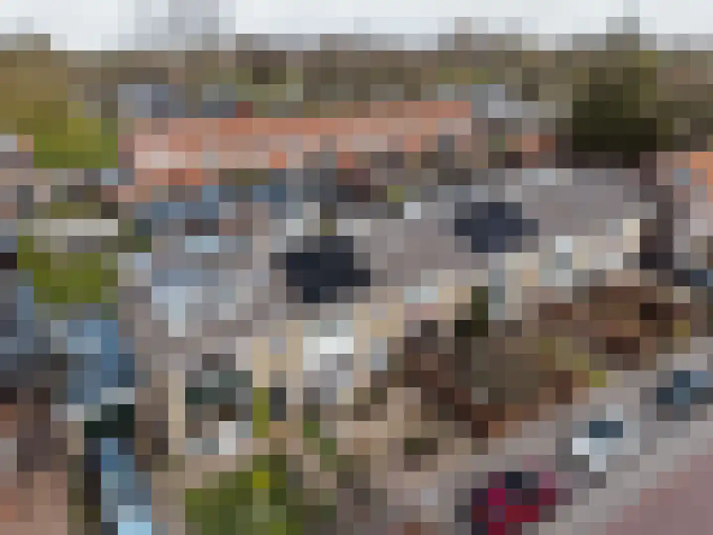 Burgemeester van der Lelystraat 54 Woudrichem thumbnail 6