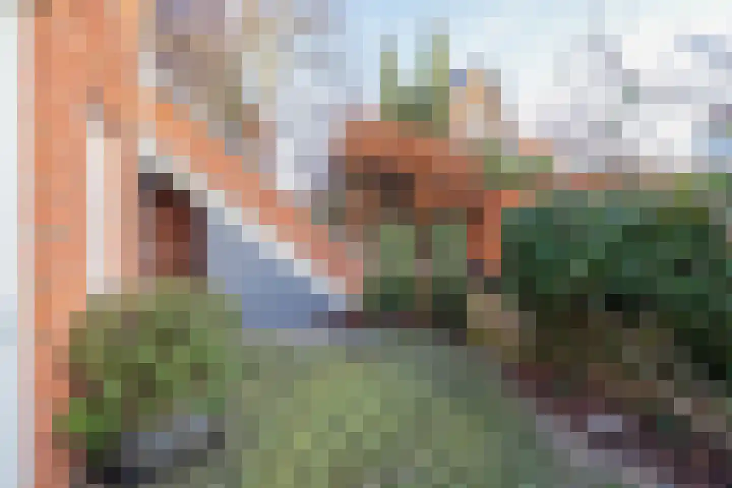 Burgemeester Van der Reijdensingel 42 Valkenburg thumbnail 18
