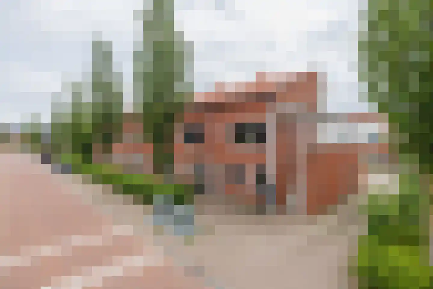 Burgemeester Van der Reijdensingel 54 Valkenburg thumbnail 25