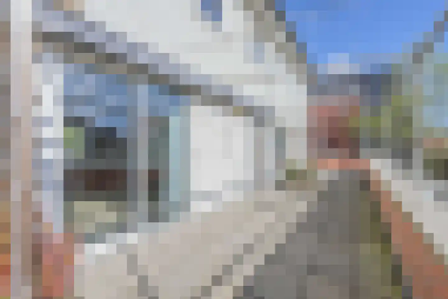 Burgemeester Van der Reijdensingel 62 Valkenburg thumbnail 12