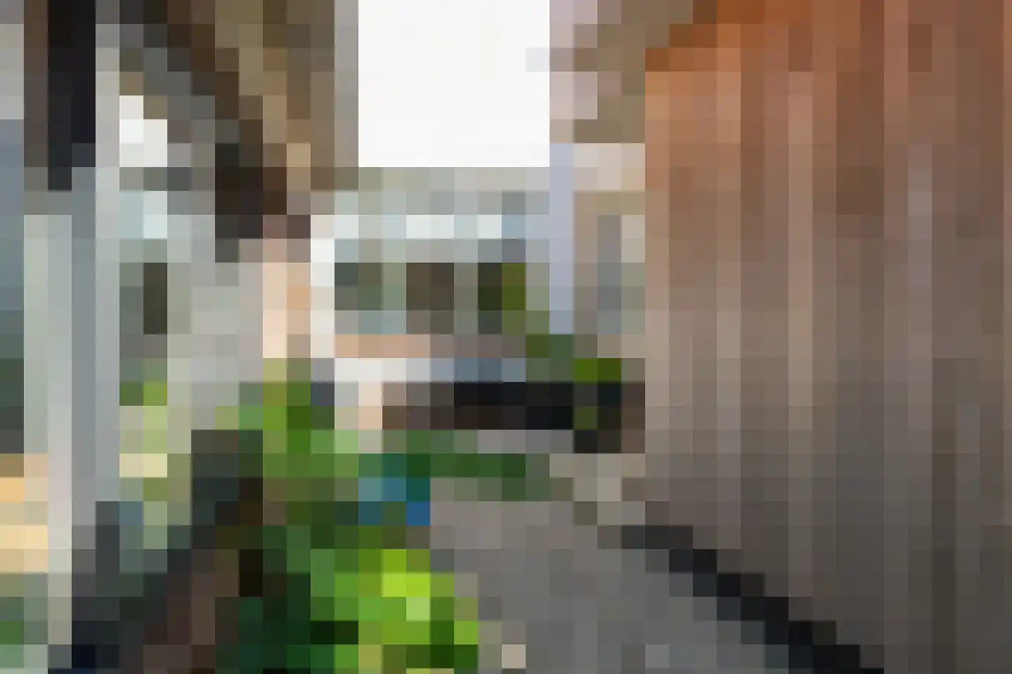 Burgemeester van der Schansstraat 16 Andel thumbnail 25