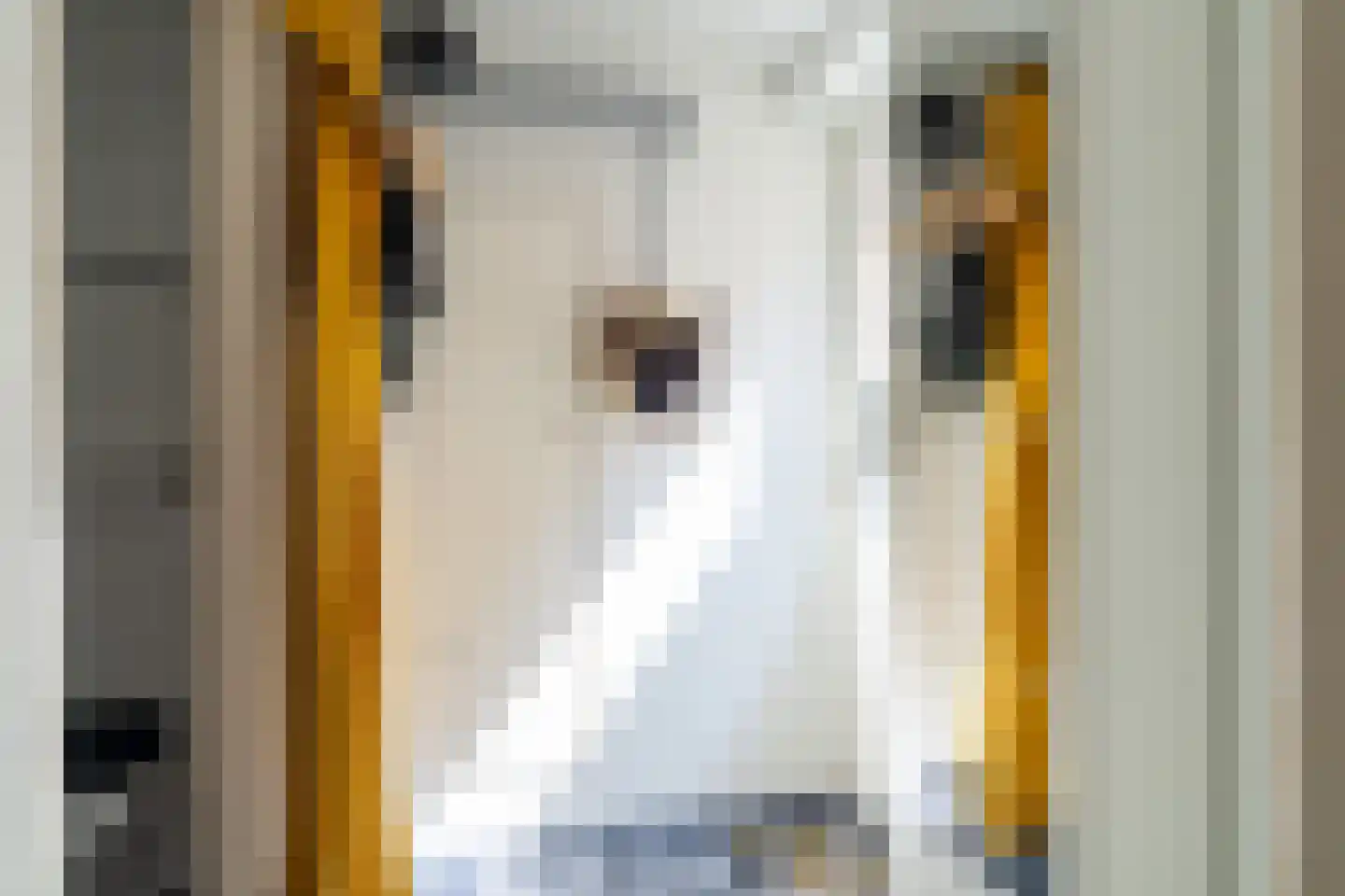 Burgemeester van der Schansstraat 16 Andel thumbnail 28