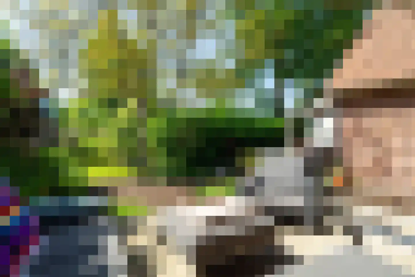 Burgemeester van der Schansstraat 16 Andel thumbnail 33