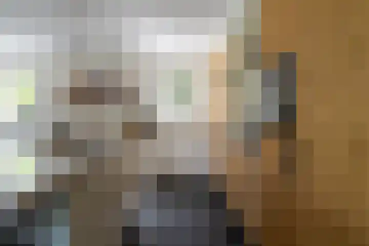 Burgemeester van der Schansstraat 49 Andel thumbnail 20