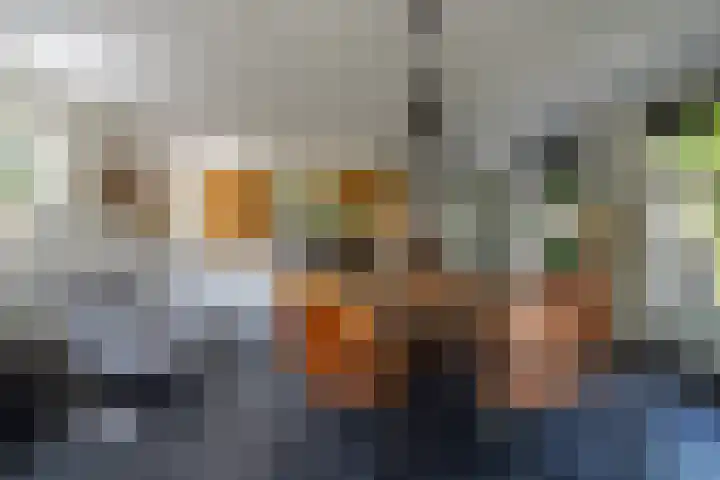 Burgemeester van der Schansstraat 49 Andel thumbnail 24