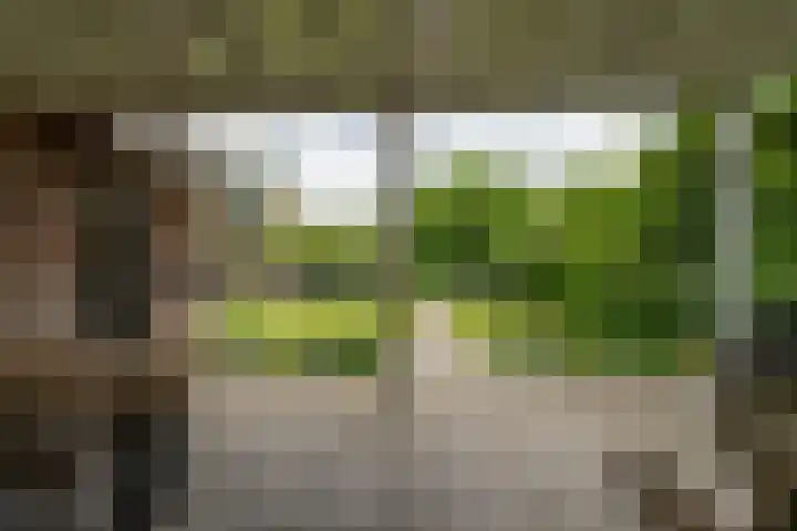 Burgemeester van der Schansstraat 49 Andel thumbnail 39