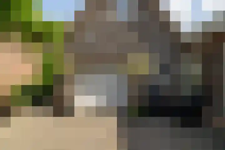 Burgemeester van der Schansstraat 49 Andel thumbnail 4