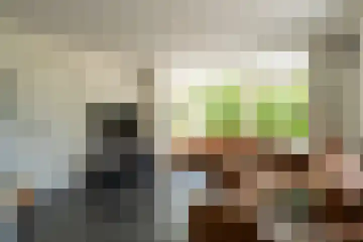 Burgemeester van der Schansstraat 49 Andel thumbnail 8