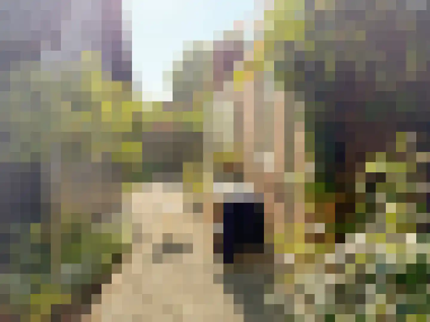 Burgemeester van der Schansstraat 55 Andel thumbnail 24