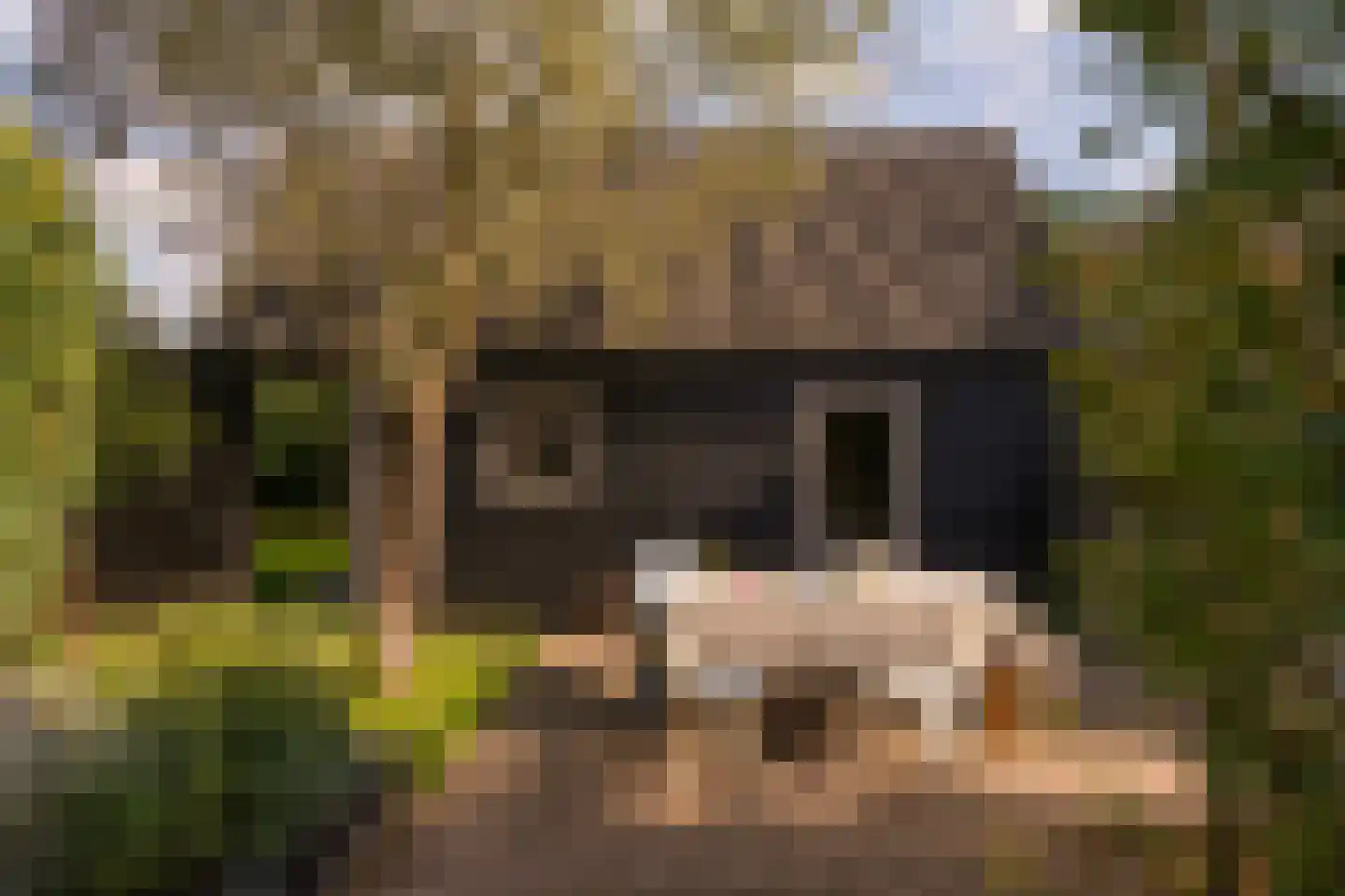 Burgemeester van der Schansstraat 55 Andel thumbnail 29
