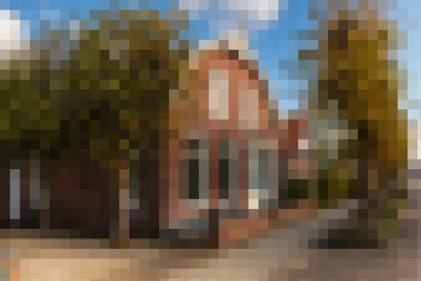Burgemeester van der Schansstraat 55 Andel thumbnail 36