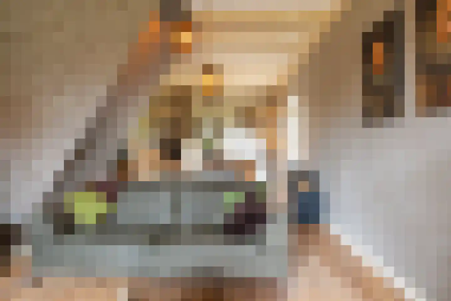 Burgemeester van der Schansstraat 9 Andel thumbnail 13