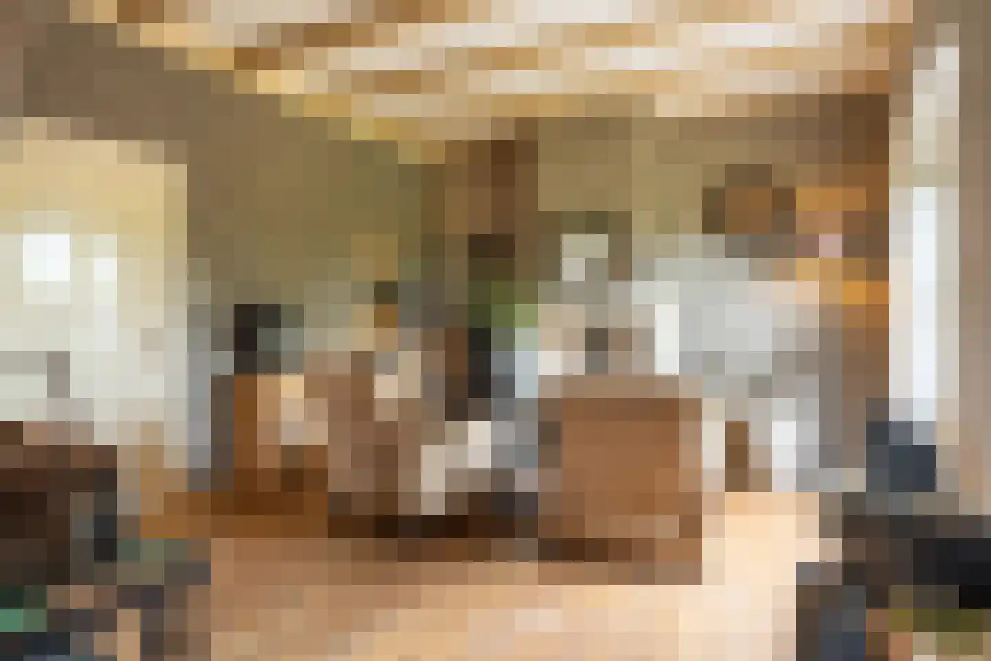 Burgemeester van der Schansstraat 9 Andel thumbnail 14