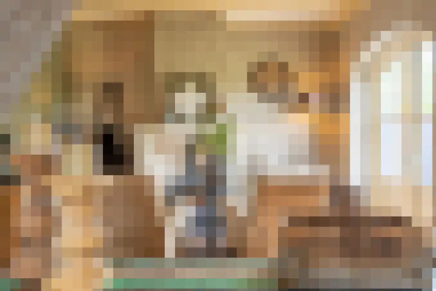 Burgemeester van der Schansstraat 9 Andel thumbnail 15